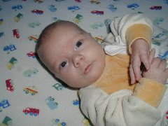 Click to see callum12_28_2001d.jpg