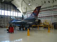 Click to see f16_special_paint.JPG