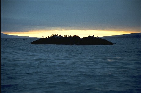Click to see galapmisc4.jpg