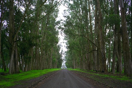 Click to see lacienega01b.jpg