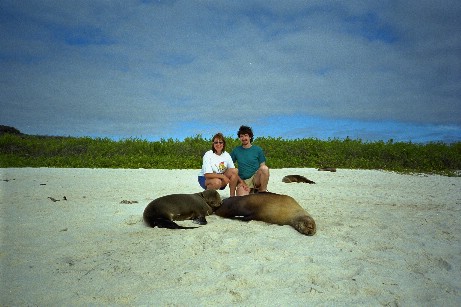 Click to see seal01.jpg