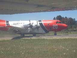 Click to see CIMG1257.JPG