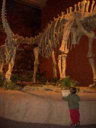 Click to see abq_museum.JPG