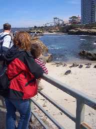 Click to see seals4.JPG