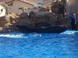 Click to see sw_bubbles1.JPG