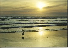 Click to see orsunset1.jpg
